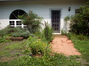 Earth Path School of nature centered healing and spiritual practice